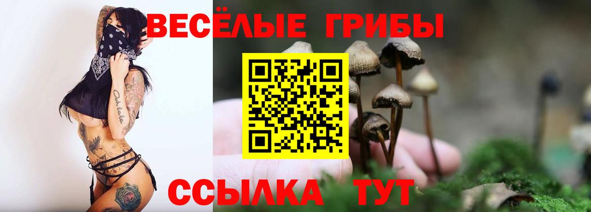 Псилоцибиновые грибы Cubensis  Вход с VPN  Солнечногорск  Псилоцибиновые грибы Psilocybine cubensis 